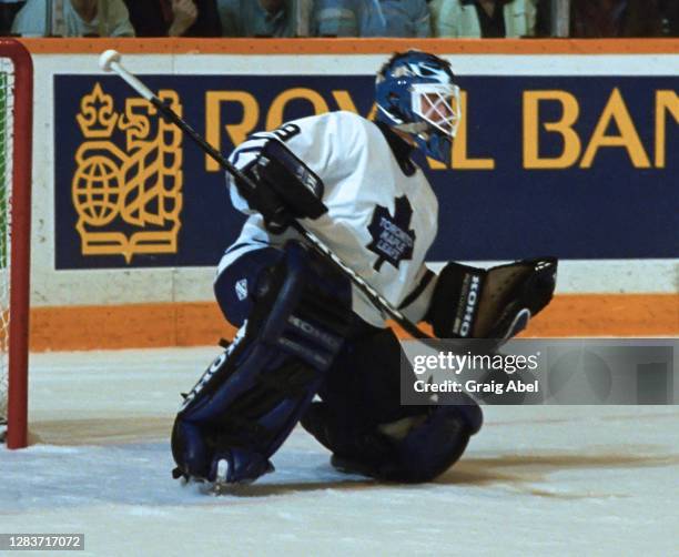 Felix Potvin of the Toronto Maple Leafs skates against the Chicago Blackhawks during 1993-1994 NHL playoff game action at Maple Leaf Gardens in...