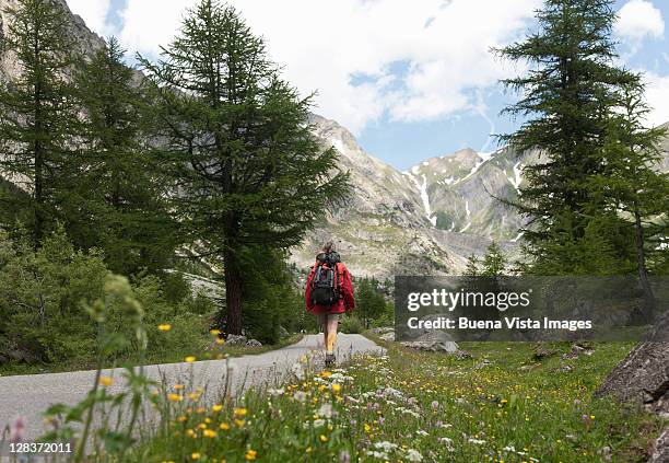 woman hiking in a pristine valley - valle daosta stock pictures, royalty-free photos & images