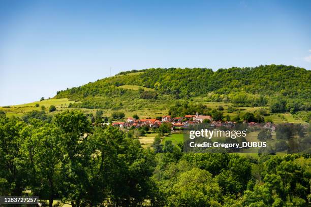 pequeño pueblo francés antiguo en medio de un bosque exuberante verde y montañas de los alpes en primavera - ain fotografías e imágenes de stock