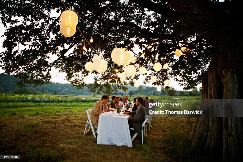 Group dining outside under tree with lanterns