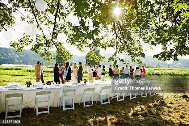 wedding party having appetizers in field - wedding planning foto e immagini stock