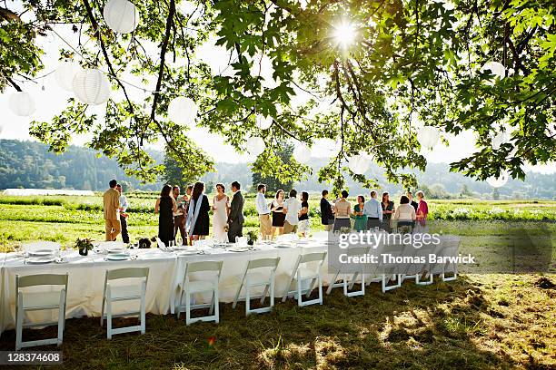 wedding party having appetizers in field - wedding planning stockfoto's en -beelden