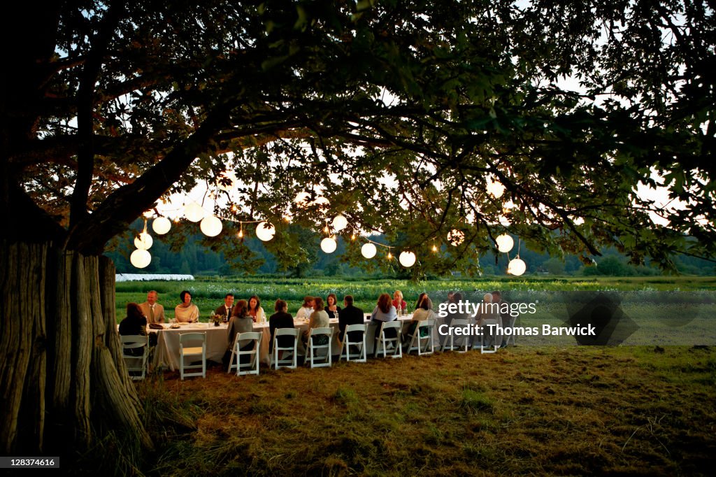 Group dining outside under tree with lanterns