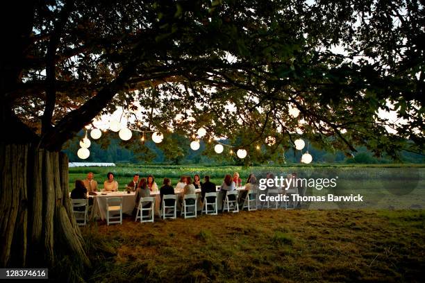 group dining outside under tree with lanterns - idyllic harmony stock pictures, royalty-free photos & images