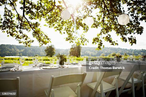 banquet table set for dinner outside under tree - party under stock pictures, royalty-free photos & images