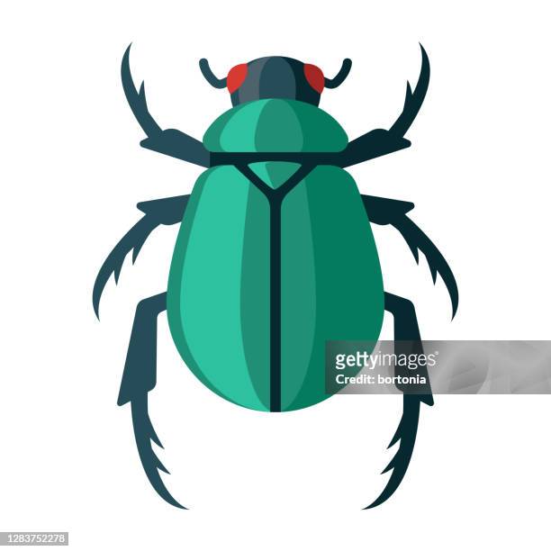 Top 62+ imagen dibujos de escarabajos