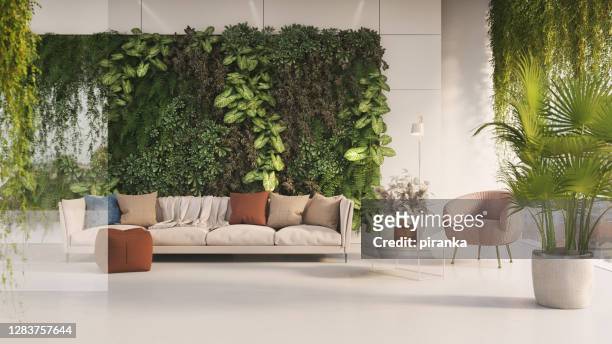green living room - plant stock pictures, royalty-free photos & images