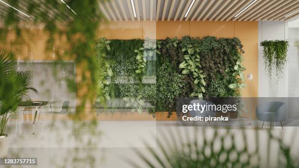 green office - living_walls stock pictures, royalty-free photos & images