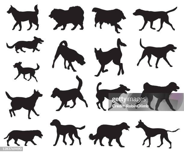 dogs walking and running silhouettes - husky stock illustrations