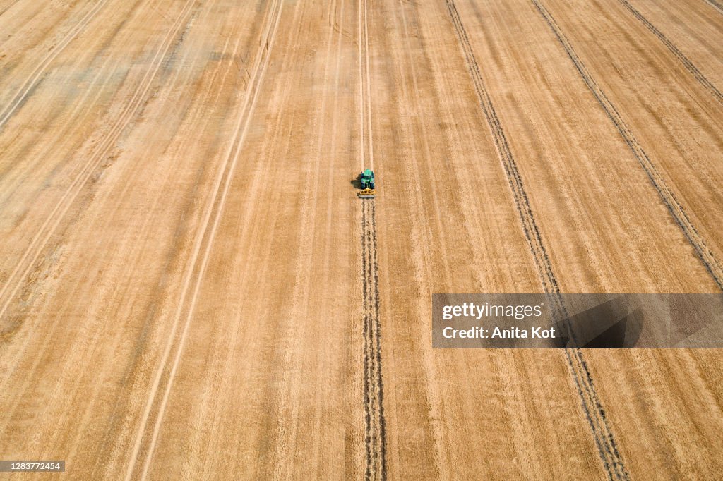 Air photography - harvest. Combine harvester in the field.