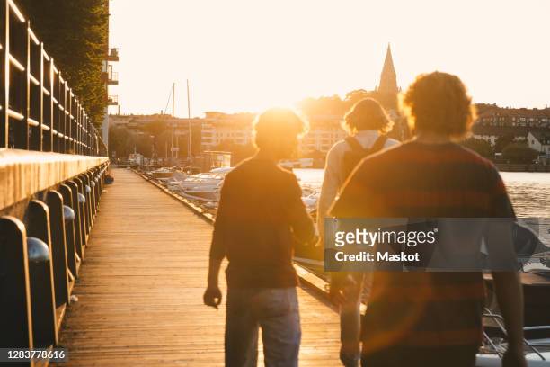 rear view of teenage boy with male friends walking at harbor during sunset - dreiviertel rückansicht stock-fotos und bilder