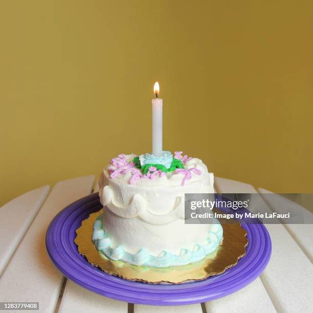 birthday cake with one candle - gâteau stockfoto's en -beelden