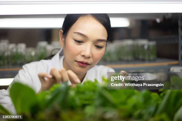 female ag-tech researcher imagining a self-sufficient future - botaniste photos et images de collection