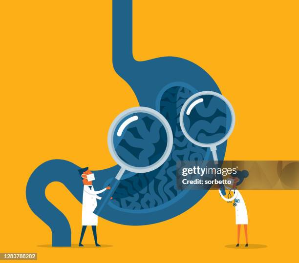 ilustrações, clipart, desenhos animados e ícones de estômago humano - lupa - esôfago sistema digestivo