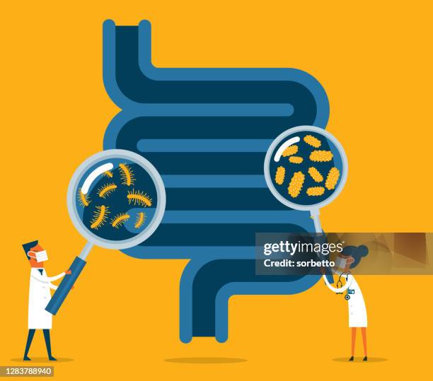 illustrazioni stock, clip art, cartoni animati e icone di tendenza di sistema digestivo umano - bacteria