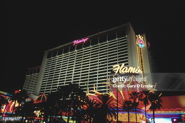 the flamingo hotel and casino at night - flamingo las vegas stockfoto's en -beelden