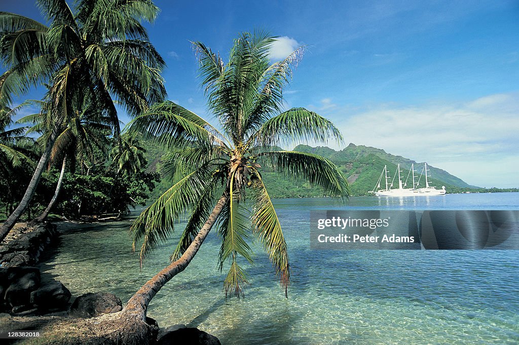 Moorea, Society Islands, French Polynesia