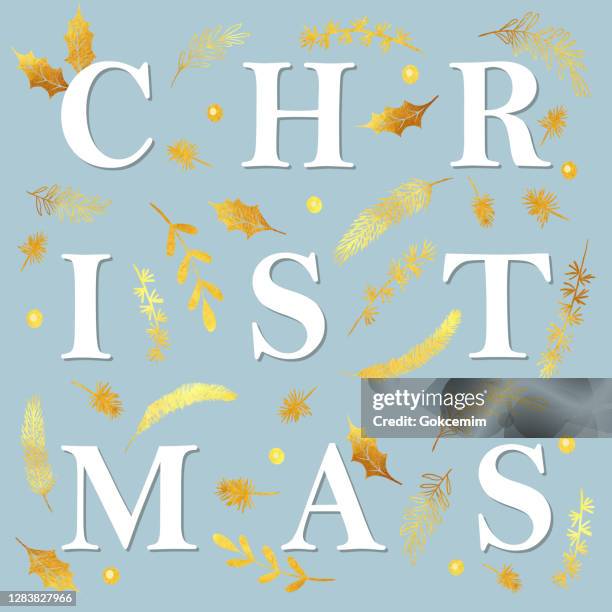 gold christmas card design template with winter plants, fir, spruce, pine branches. - spruce stock illustrations