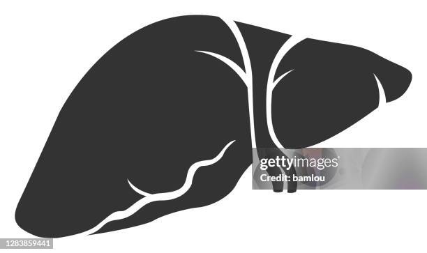 human internal organ liver icon - lymphatic system stock illustrations