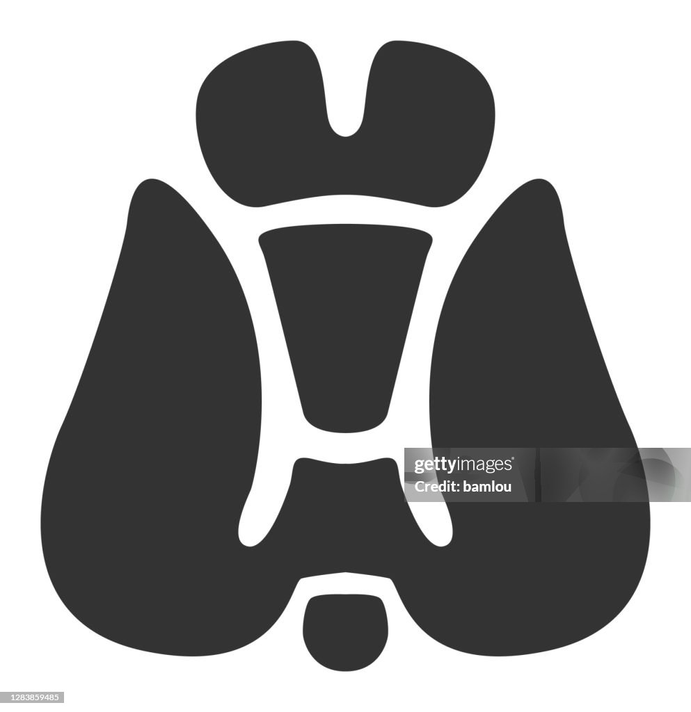 Human Internal Organ Tyroid Icon