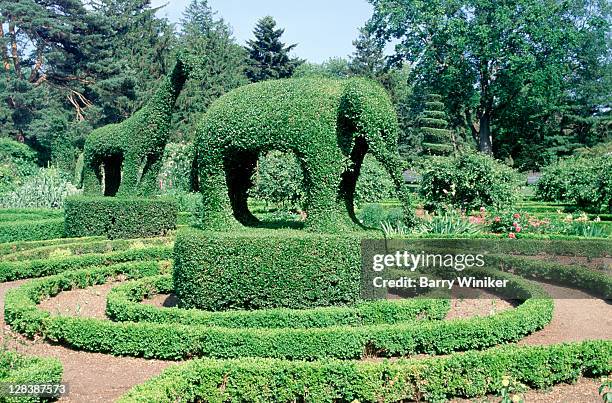 elephant topiary, green animals, newport, ri - newport rhode island stock-fotos und bilder