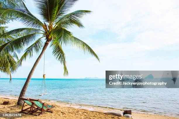 beautiful beach. chairs on the sandy beach near the sea. - ari atoll stock pictures, royalty-free photos & images