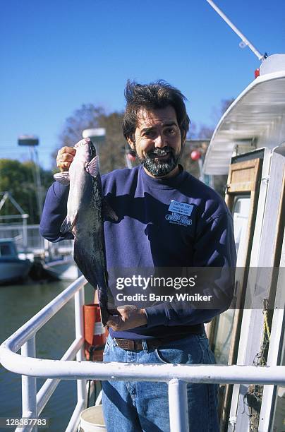 captain tom holding channel catfish - channel catfish fotografías e imágenes de stock