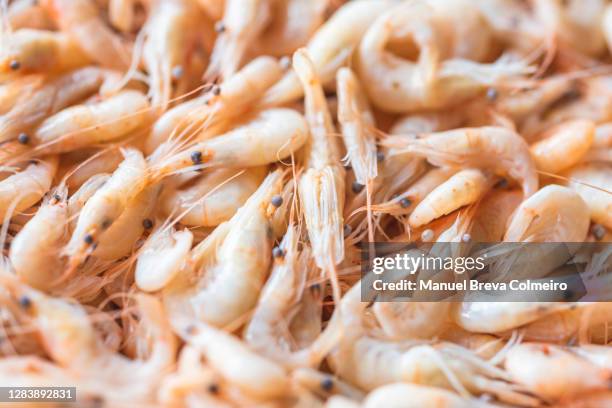 shrimps - shrimps stock pictures, royalty-free photos & images