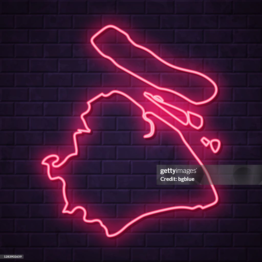 Shanghai map - Glowing neon sign on brick wall background