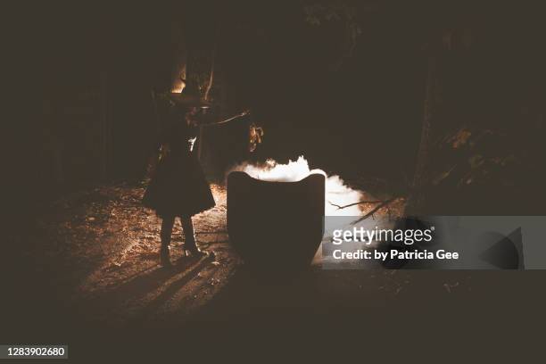 witch next to steaming cauldron silhouette - cauldron stock pictures, royalty-free photos & images