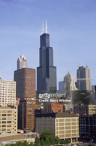 densely-packed buildings w/ sears tower, the loop, chicago, il - willis tower 個照片及圖片檔