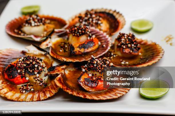 south american food - peruvian culture imagens e fotografias de stock