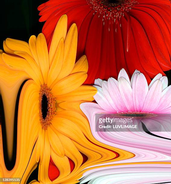 abstract daisy flowers, - pollen stock illustrations