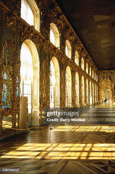 russia, st petersburg, catheriness palace - palace interior stockfoto's en -beelden