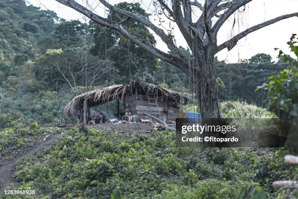 117 Sierra De Perijá National Park Stock Photos, HighRes Pictures, and