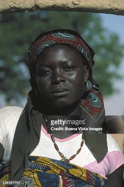 niger woman in small village, africa - nigeria fotografías e imágenes de stock