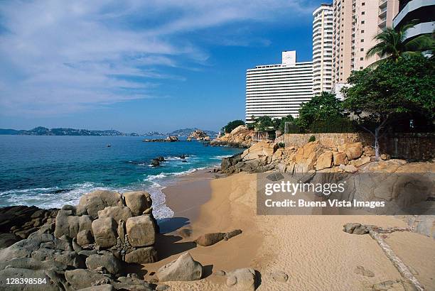 beach in acapulco, mexico - 阿卡普爾科 個照片及圖片檔