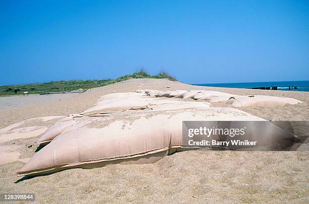 sandbags, beach near cape hatteras lighthouse - sandbag stock pictures, royalty-free photos & images