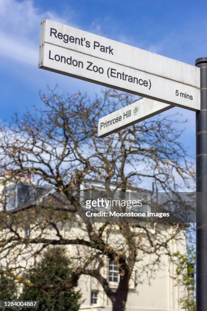 footpath sign to regent's park, london - jardim zoológico de londres imagens e fotografias de stock