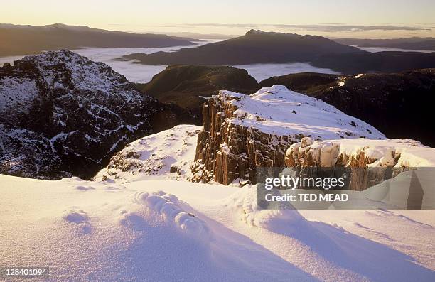 view toward mt weld at sunrise, southwest np, tasmania, australia - winter australia stockfoto's en -beelden