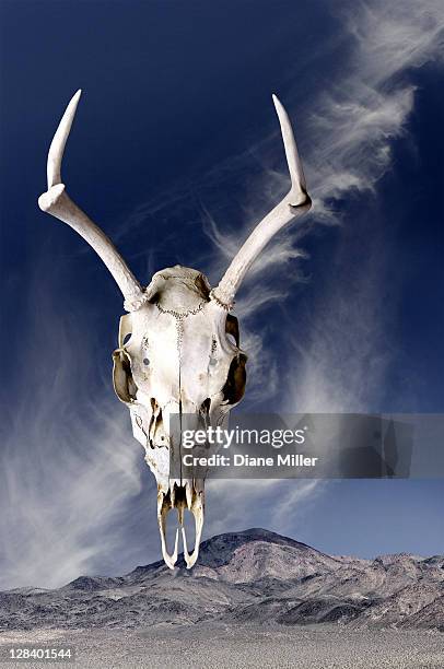 deer skull floating against mountain scene - deer skull stock pictures, royalty-free photos & images