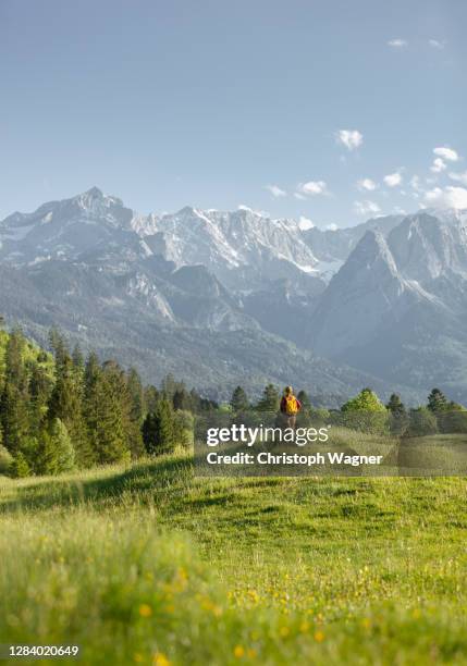 frau in den bergen beim wandern - frau ストックフォトと画像