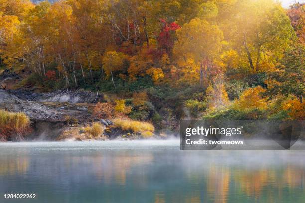 fall foliage and steaming hot spring pond at jigokunuma pond (hell pond) aomori prefecture japan. - onsen japan stock pictures, royalty-free photos & images