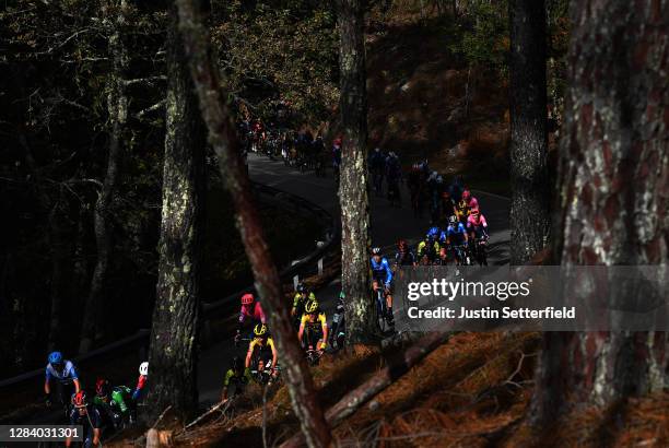 Robert Gesink of The Netherlands and Team Jumbo - Visma / Mikel Nieve Ituralde of Spain and Team Mitchelton - Scott / Kobe Goossens of Belgium and...