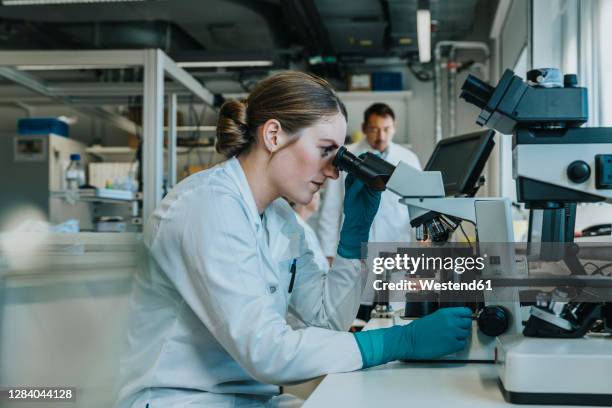 young woman analyzing human brain microscope slide under microscope while sitting with scientists in background at laboratory - microscope fotografías e imágenes de stock