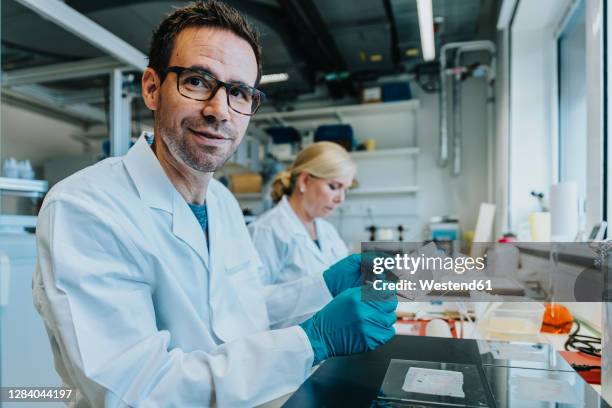 scientist holding human brain microscope slide while sitting by coworker at laboratory - medisch specimen stockfoto's en -beelden