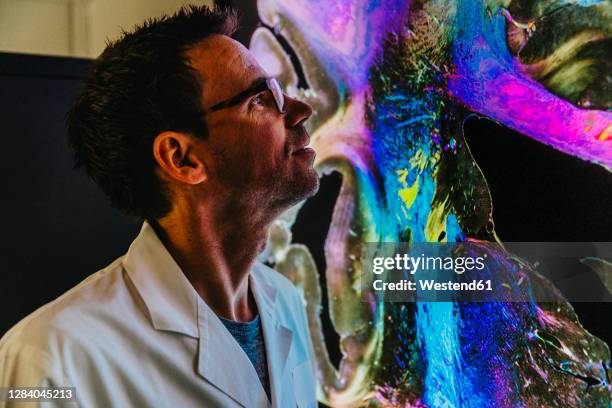 scientist examining projection of human brain with nerve fiber while standing at laboratory - nerve fiber stock pictures, royalty-free photos & images