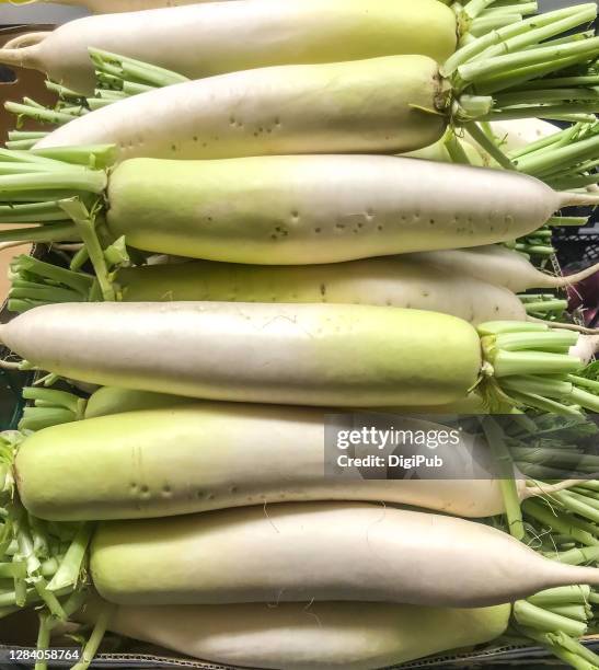 daikon radish - dikon radish stock pictures, royalty-free photos & images