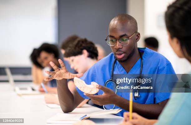 medical students working together - organe de reproduction masculin imagens e fotografias de stock