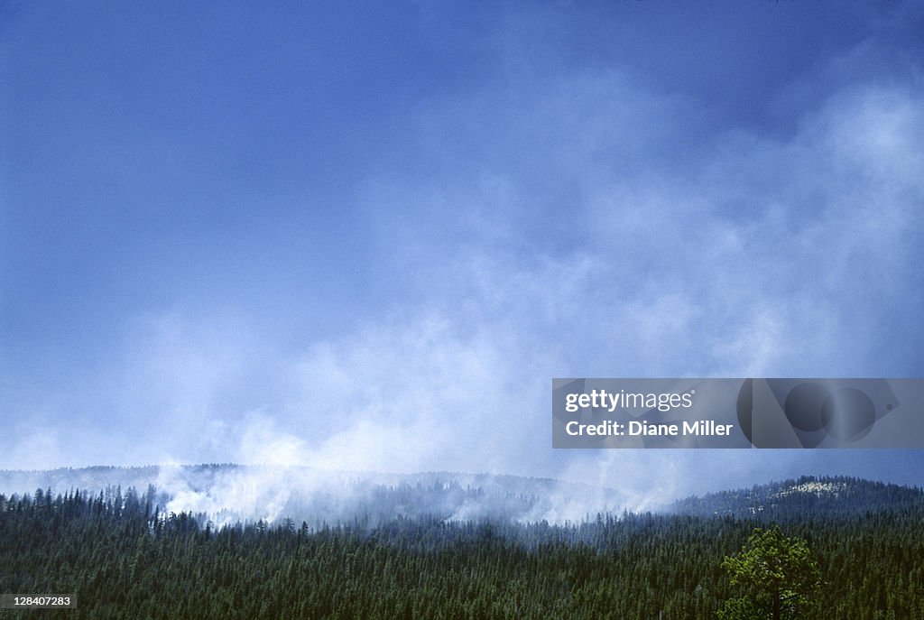 Smoke of Controlled burn in Yosemite National Park